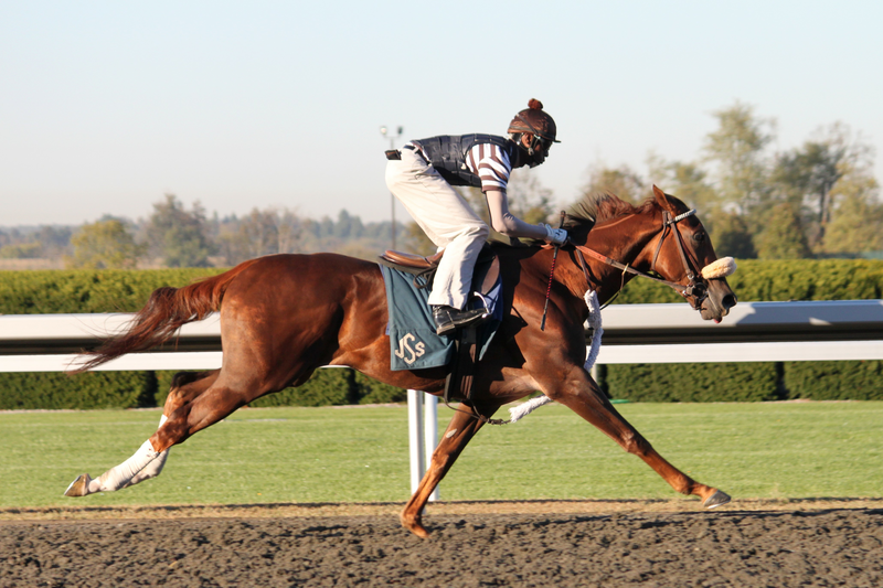 2024 Breeders Cup Tickets Release Date Trixy Hermione